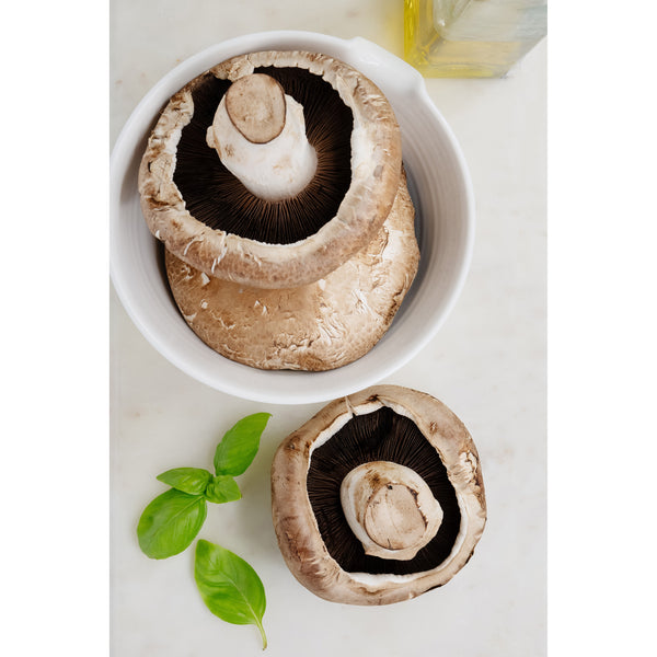 Portobello Mushroom