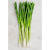 Green Onion
